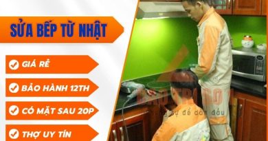 Sửa Bếp Từ Nhật