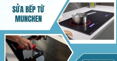 Sửa Bếp Từ Munchen