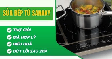 Sửa Bếp Từ Sanaky