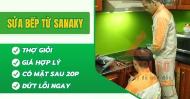 Sửa Bếp Từ Sanaky