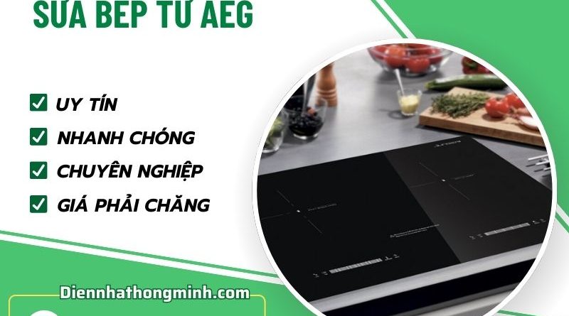 Sửa Bếp Từ Aeg